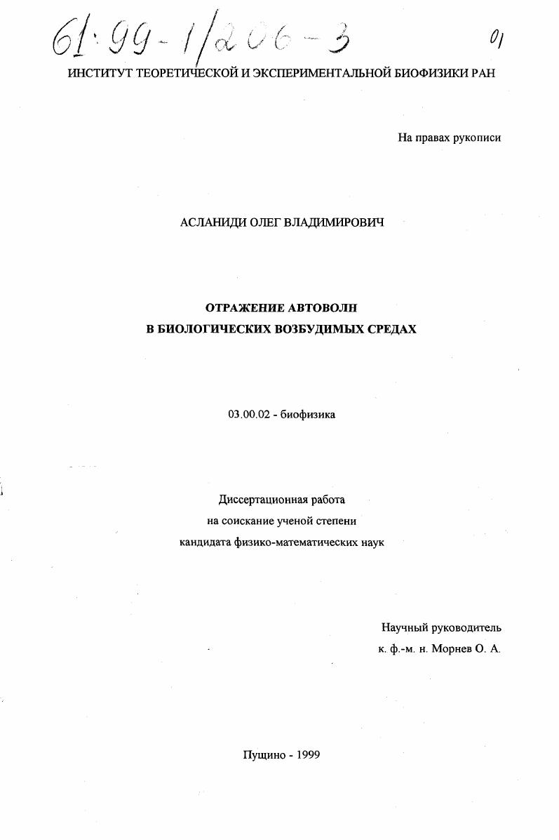 Отражение автоволн в биологических возбудимых средах