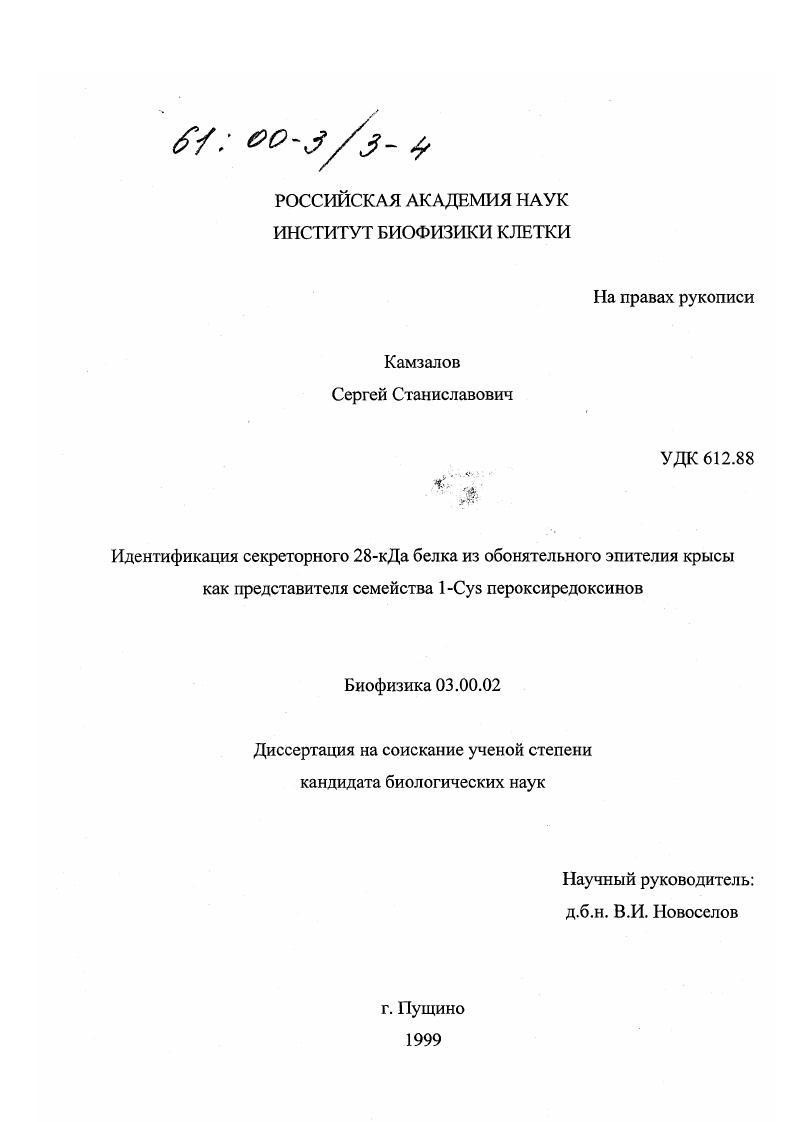 Идентификация секреторного 28 кДа белка из обонятельного эпителия крысы как представителя семейства 1-Cys пероксиредоксинов