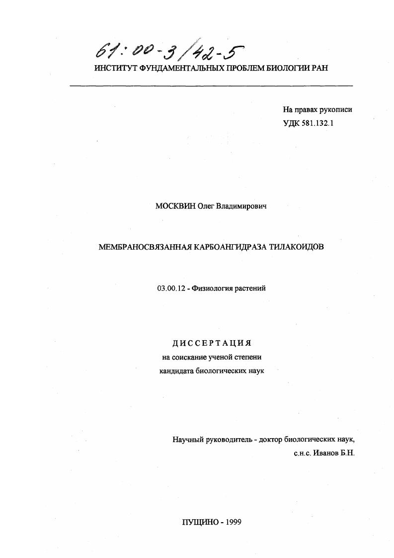 Мембраносвязанная карбоангидраза тилакоидов