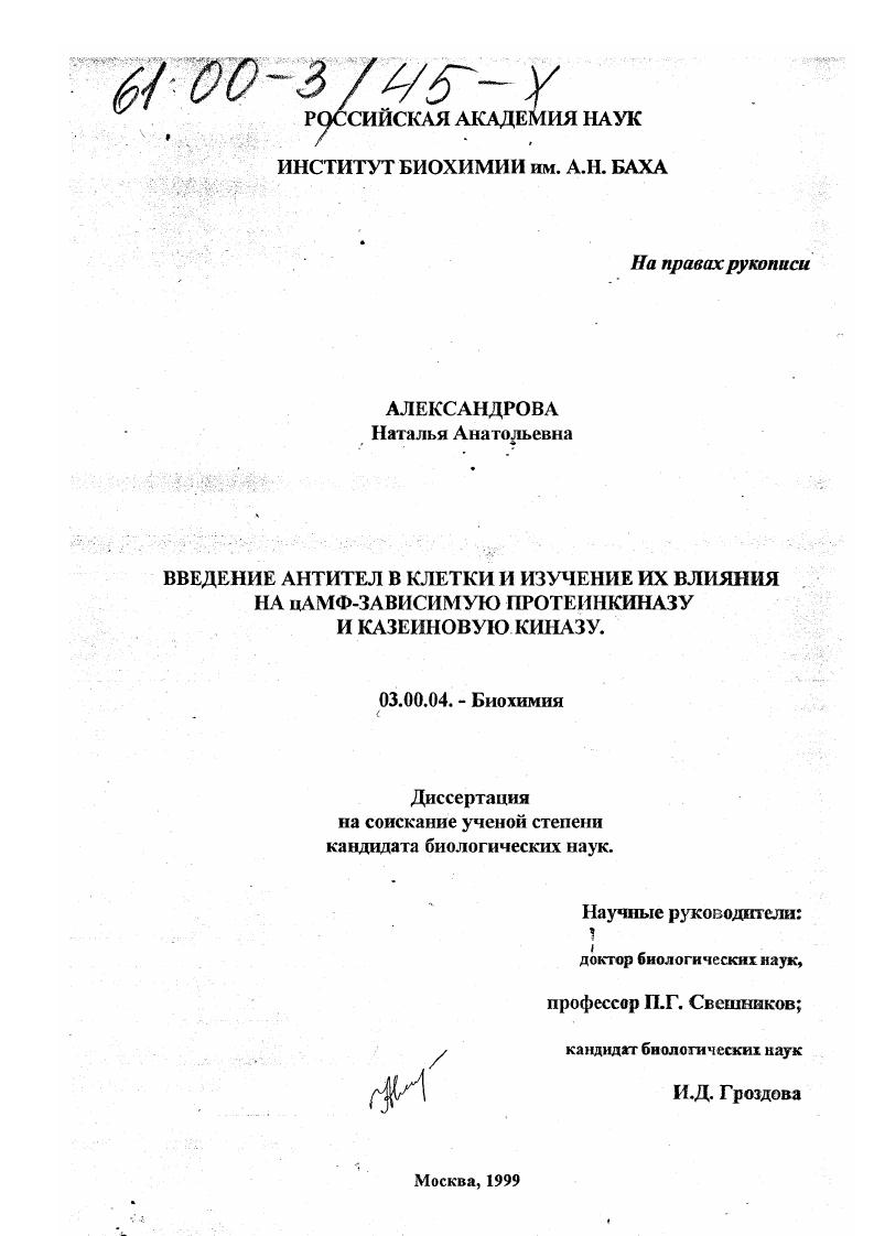 Введение антител в клетки и изучение их влияния на цАМФ-зависимую пртеинкиназу и казеиновую киназу