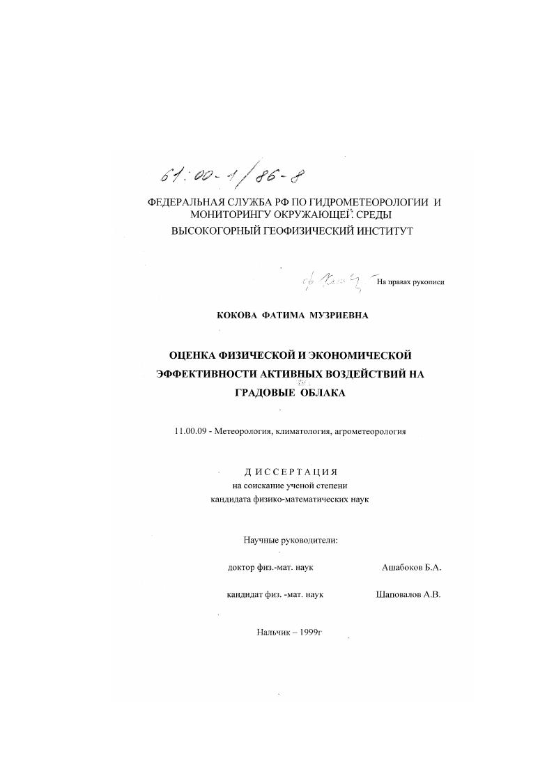 скачать диссертацию Оценка физической и экономической эффективности активных воздействий на градовые облака Оценка физической и экономической эффективности активных воздействий на градовые облака