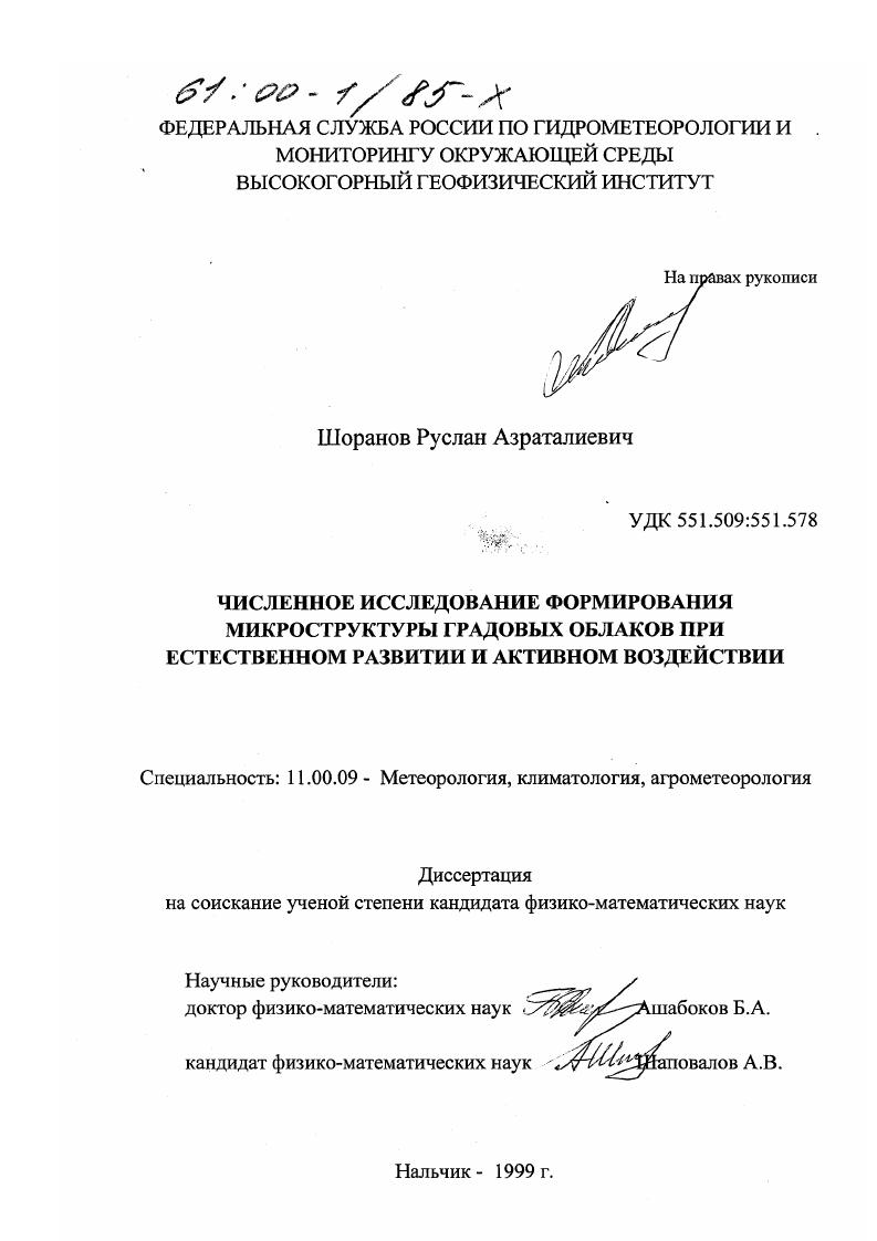 Численное исследование формирования микроструктуры градовых облаков при естественном развитии и активном воздействии