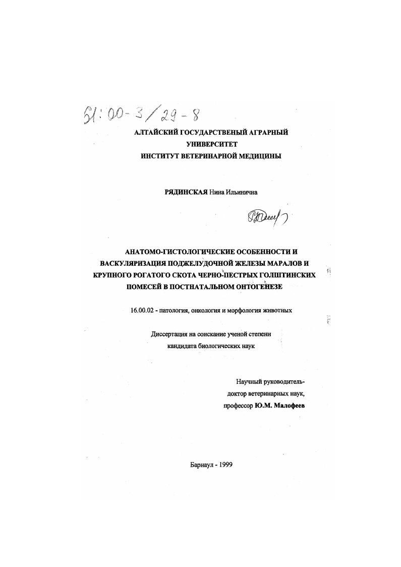 Анатомо-гистологические особенности и васкуляризация поджелудочной железы маралов и крупного рогатого скота черно-пестрых голштинских помесей в постнатальном онтогенезе