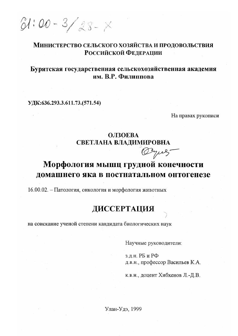 Морфология мышц грудной конечности домашнего яка в постнатальном онтогенезе