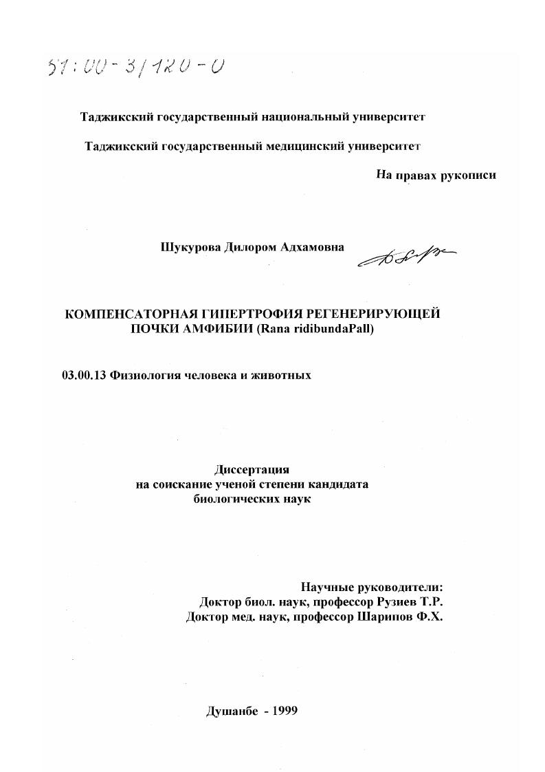 Компенсаторная гипертрофия регенерирующей почки амфибий Rana ridibunda Pall