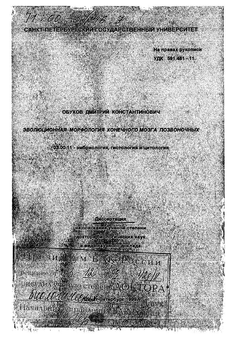 Эволюционная морфология конечного мозга позвоночных