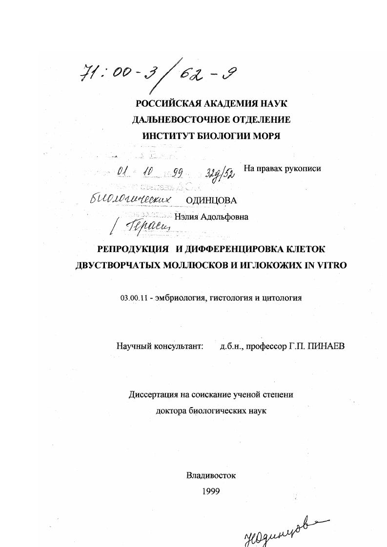 Репродукция и дифференцировка клеток двустворчатых моллюсков и иглокожих in vitro