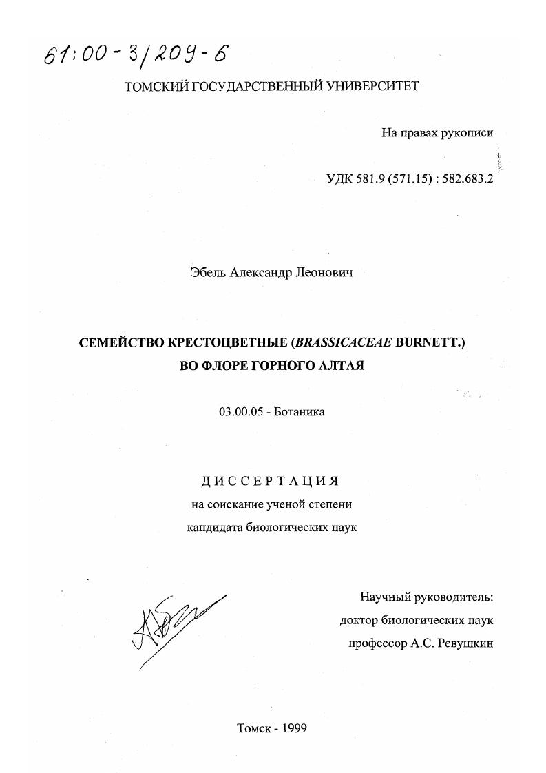 Семейство крестоцветные Brassicaceae Burnett во флоре Горного Алтая