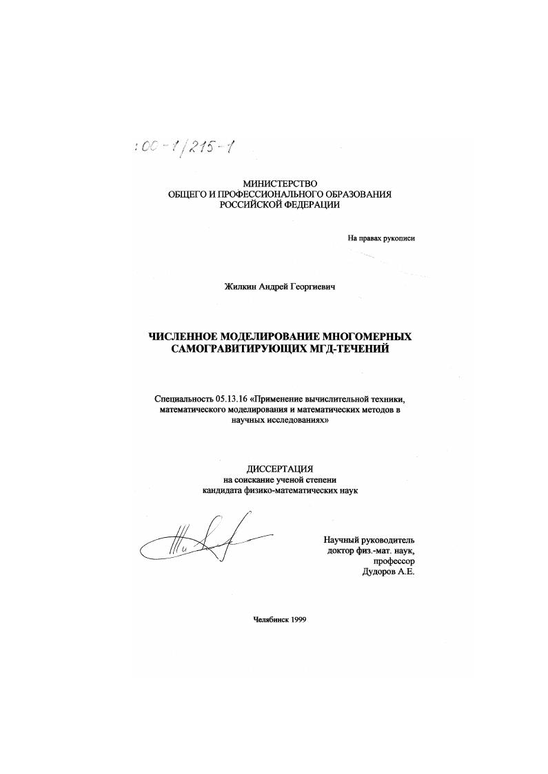 Численное моделирование многомерных самогравитирующих МГД-течений