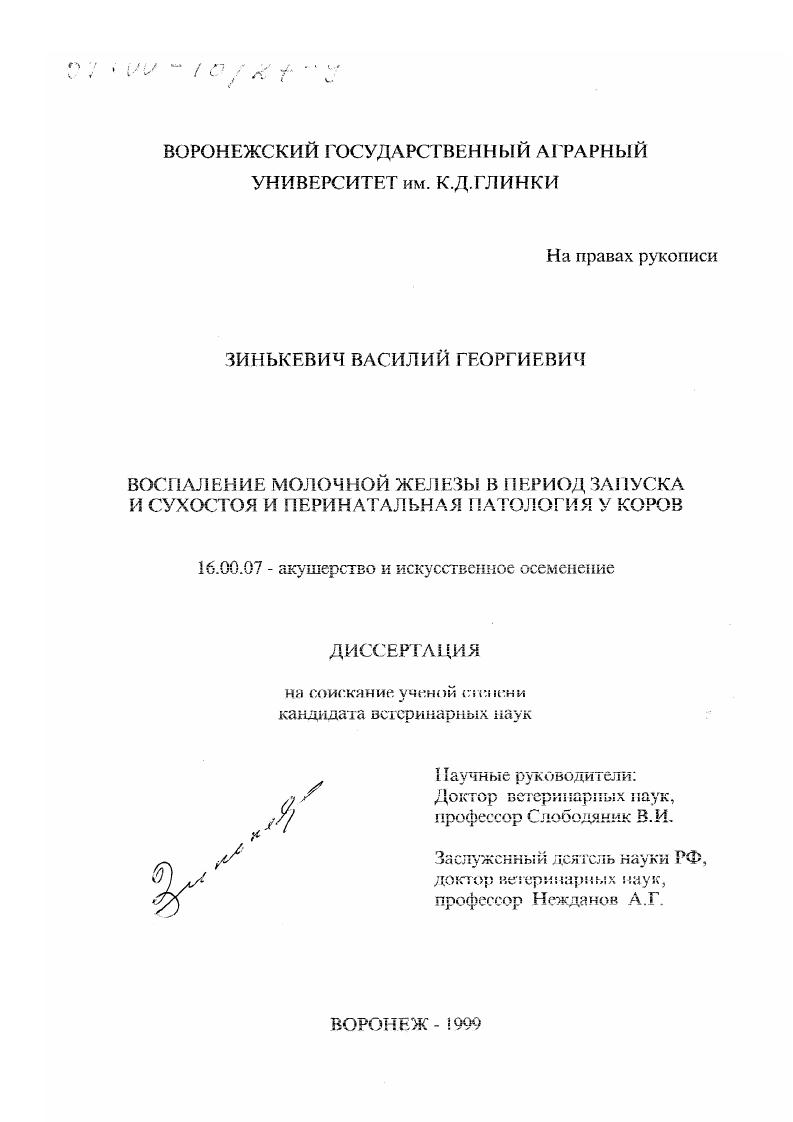 Воспаление молочной железы в период запуска и сухостоя и перинатальная патология у коров