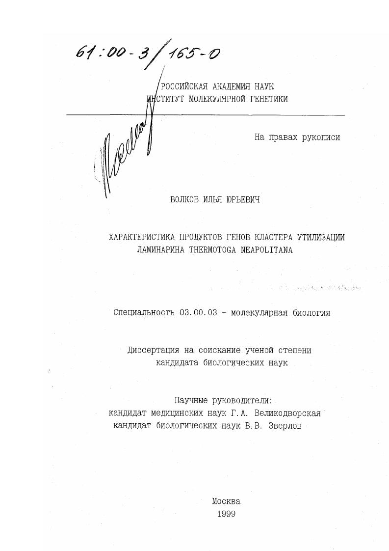 Характеристика продуктов генов кластера утилизации ламинарина Thermotoga neapolitana