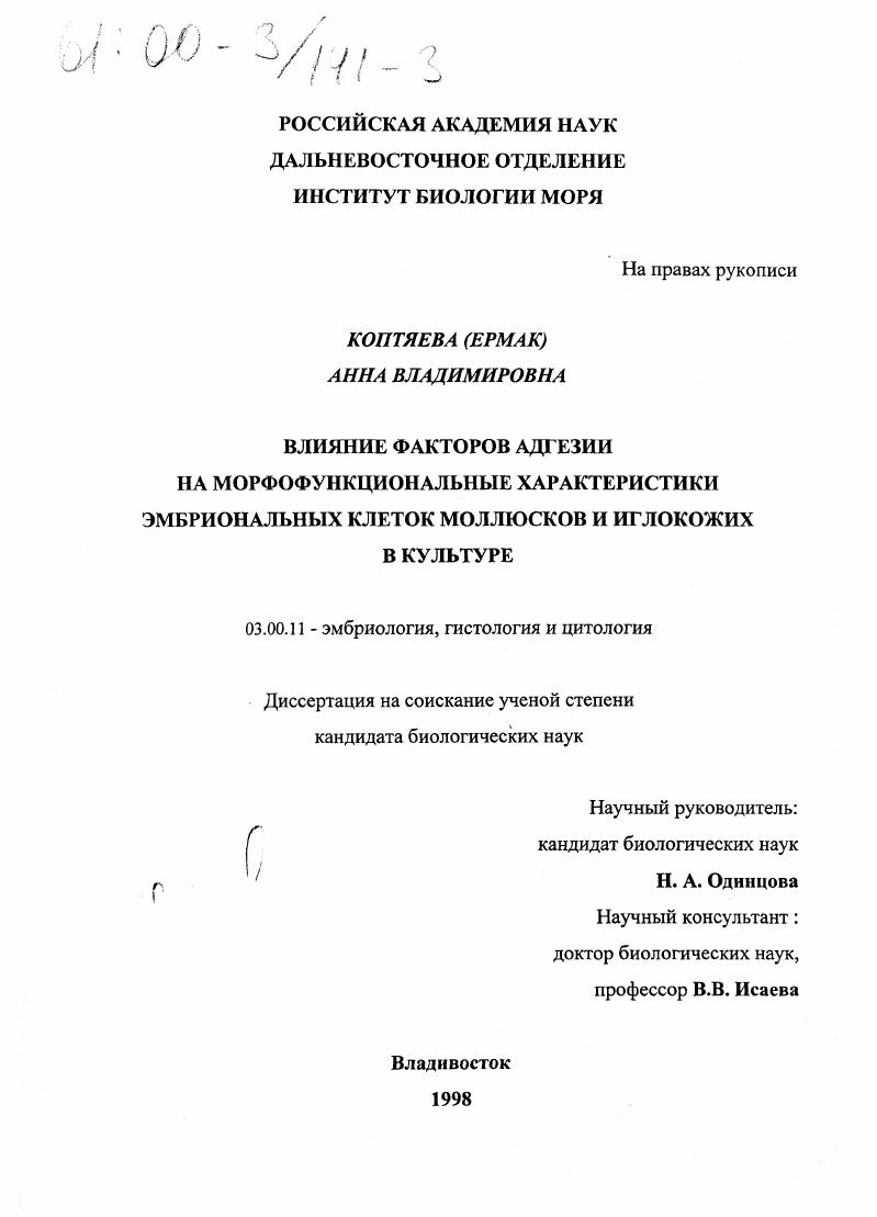 Влияние факторов адгезии на морфофункциональные характеристики эмбриональных клеток моллюсков и иглокожих в культуре
