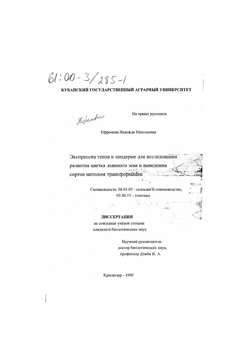 Экспрессия генов в эпидерме для исследования развития цветка львиного зева и выведения сортов методом трансформации