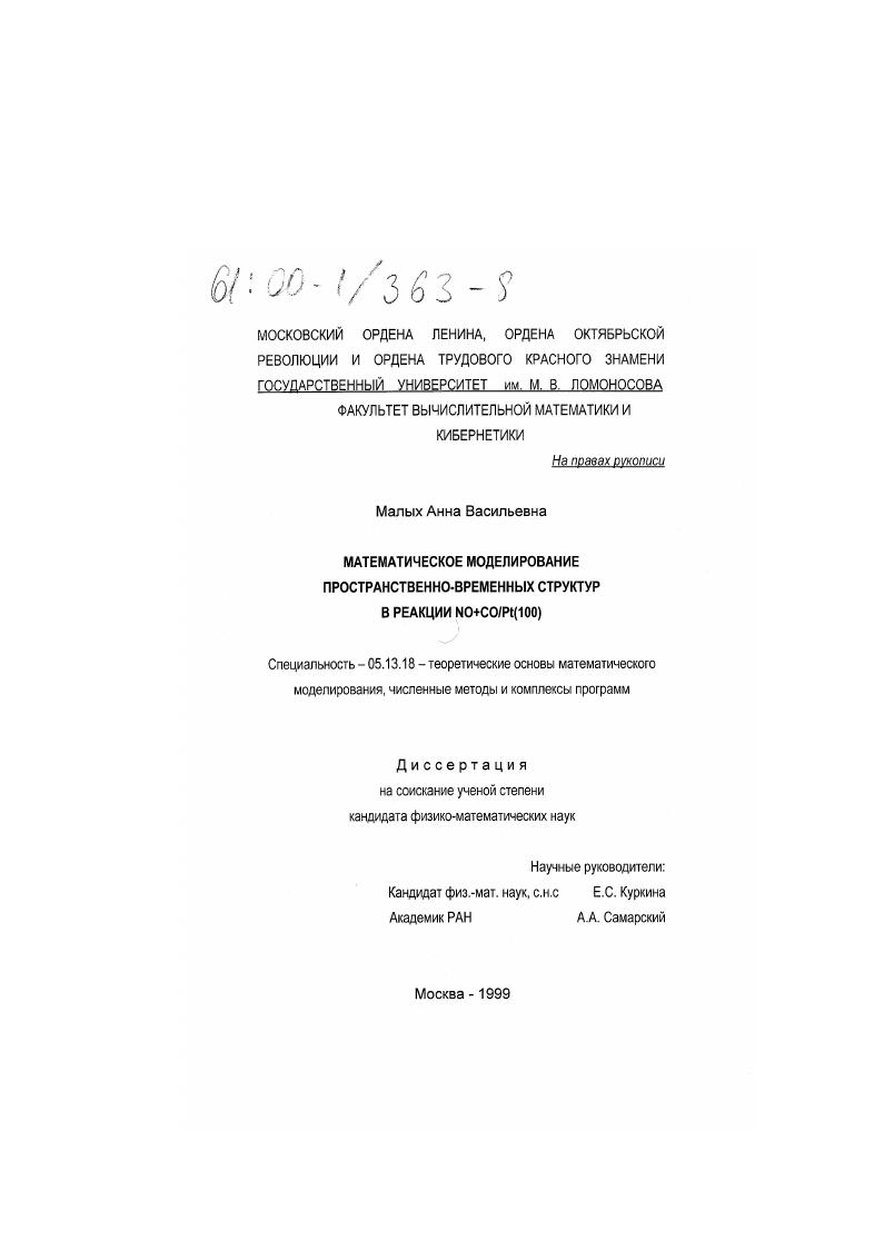 Математическое моделирование пространственно-временных структур в реакции NO+CO/Pt(100)