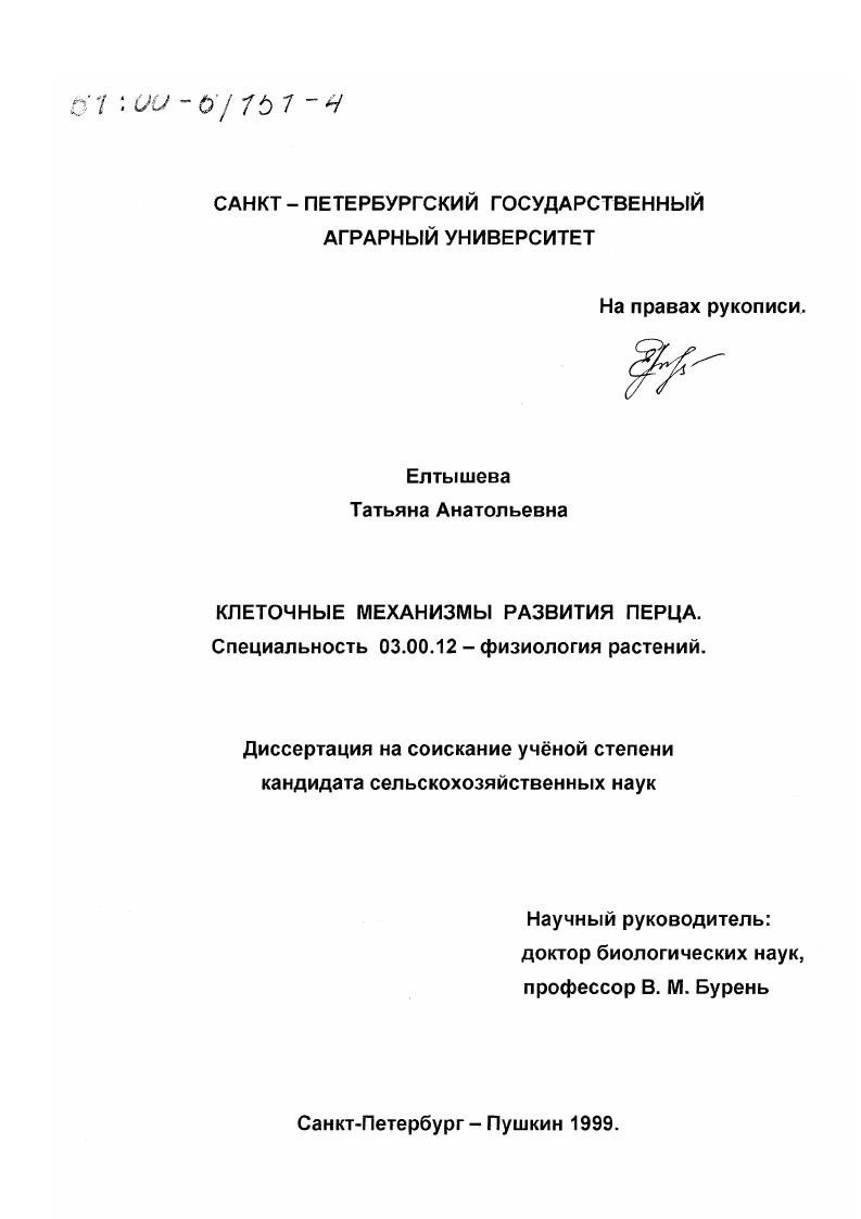 Клеточные механизмы развития перца