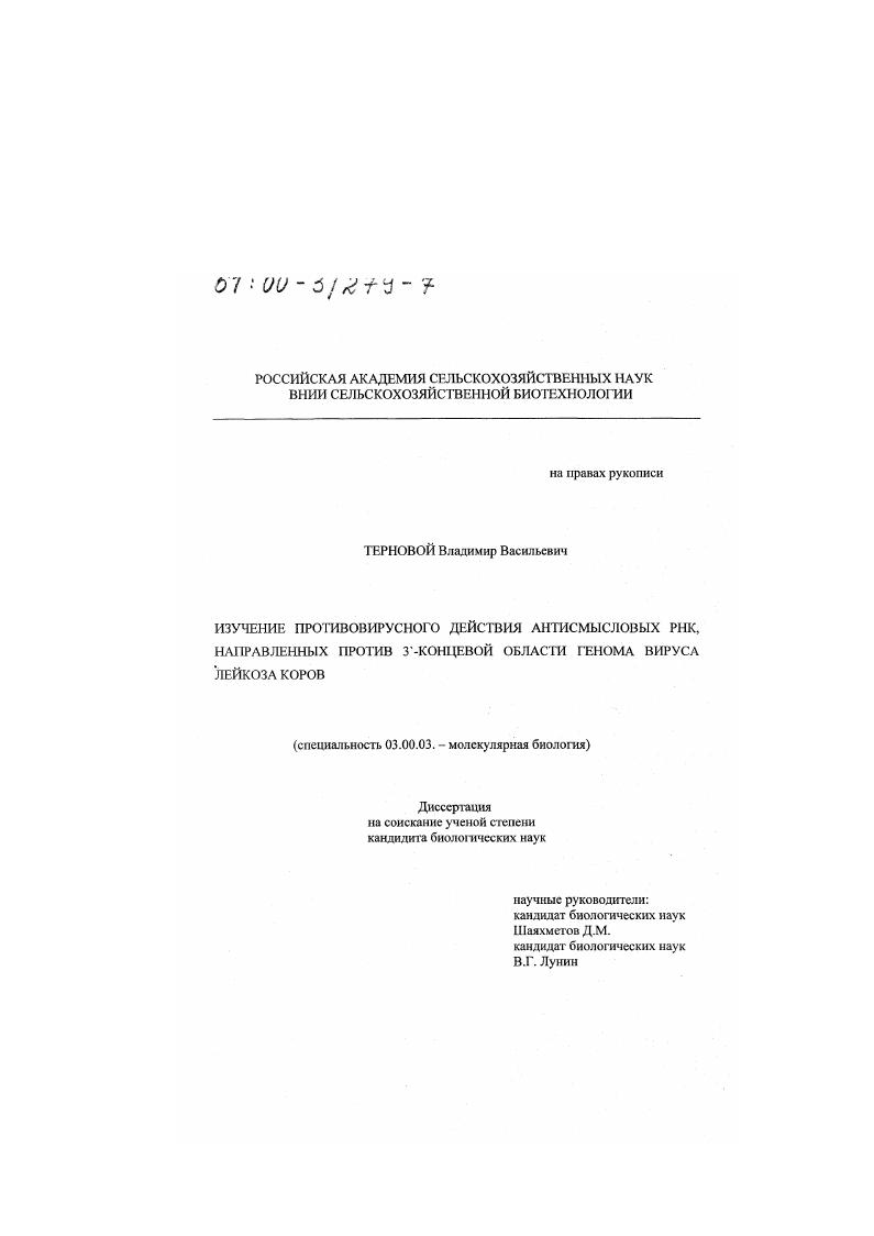 Изучение противовирусного действия антисмысловых РНК, направленных против 3-концевой области генома вируса лейкоза коров