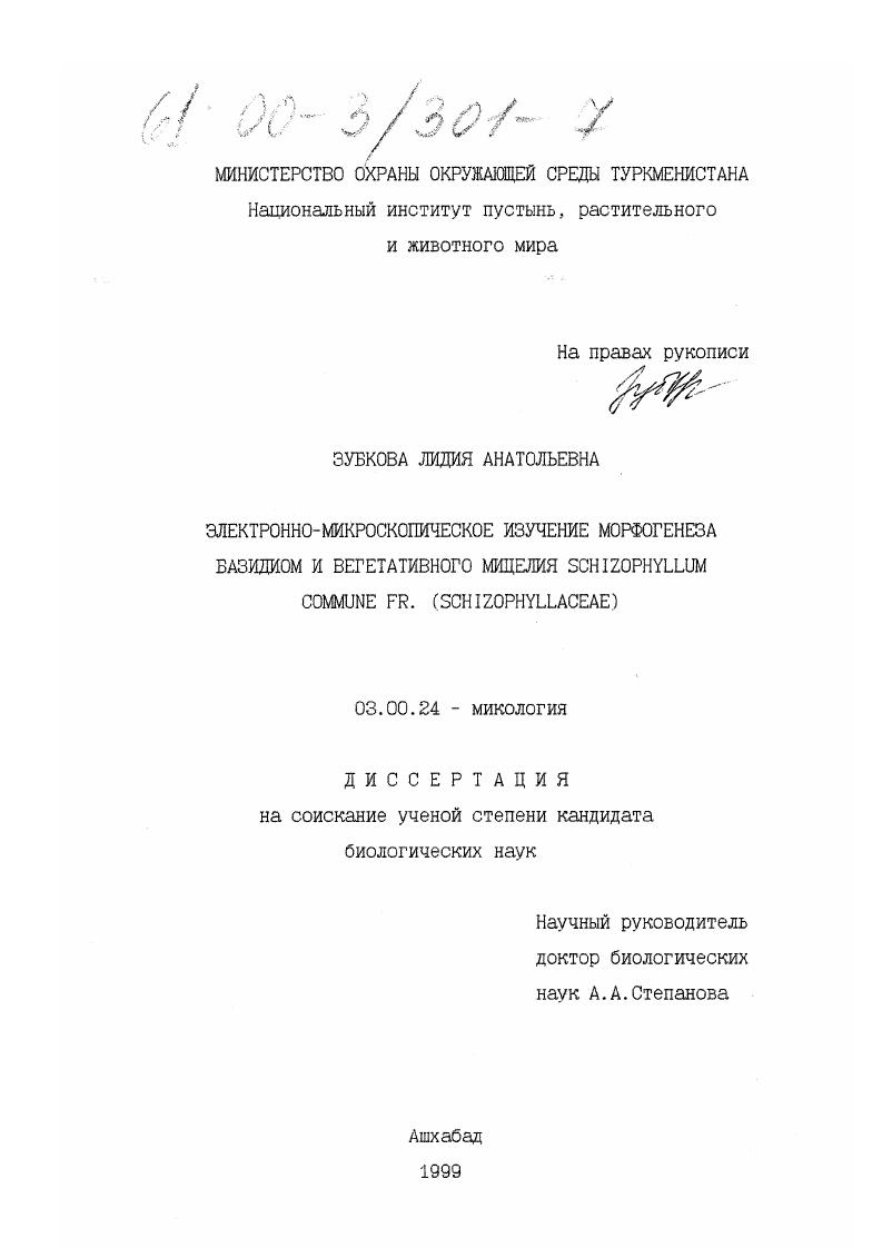 Электронно-микроскопическое изучение морфогенеза базидиом и вегетативного мицелия Schizophyllum commune Fr. (Schizophyllaceae)