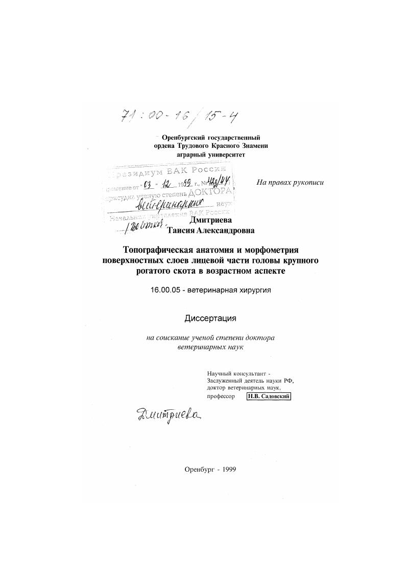 Топографическая анатомия и морфометрия поверхностных слоев лицевой части головы крупного рогатого скота в возрастном аспекте