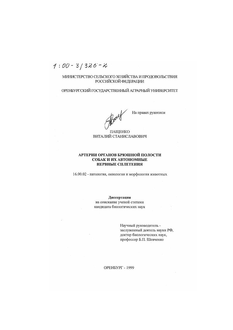 Артерии органов брюшной полости собак и их автономные нервные сплетения