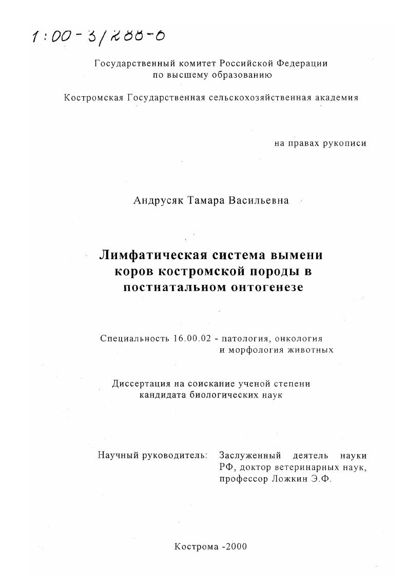 Лимфатическая система вымени коров костромской породы в постнатальном онтогенезе