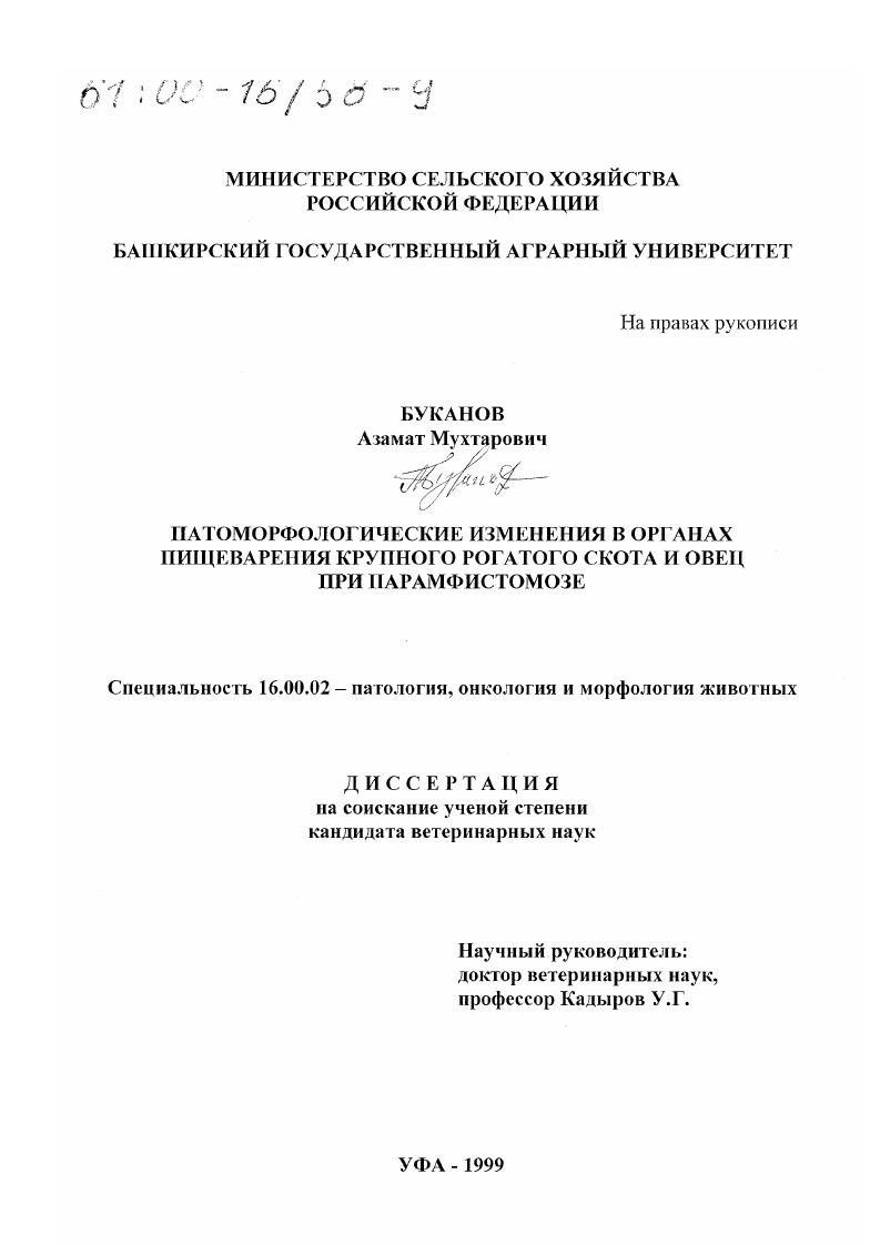 Патоморфологические изменения в органах пищеварения крупного рогатого скота и овец при парамфистомозе