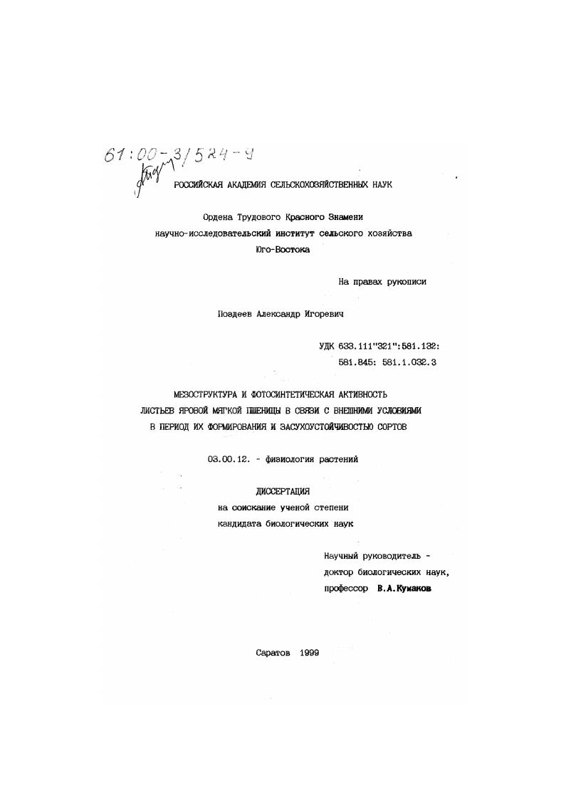 Мезоструктура и фотосинтетическая активность листьев яровой мягкой пшеницы в связи с внешними условиями в период их формирования и засухоустойчивостью сортов