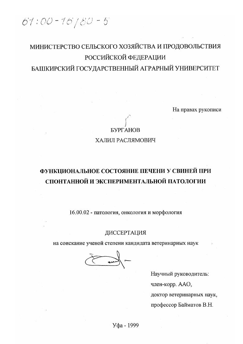 Функциональное состояние печени у свиней при спонтанной и экспериментальной патологии