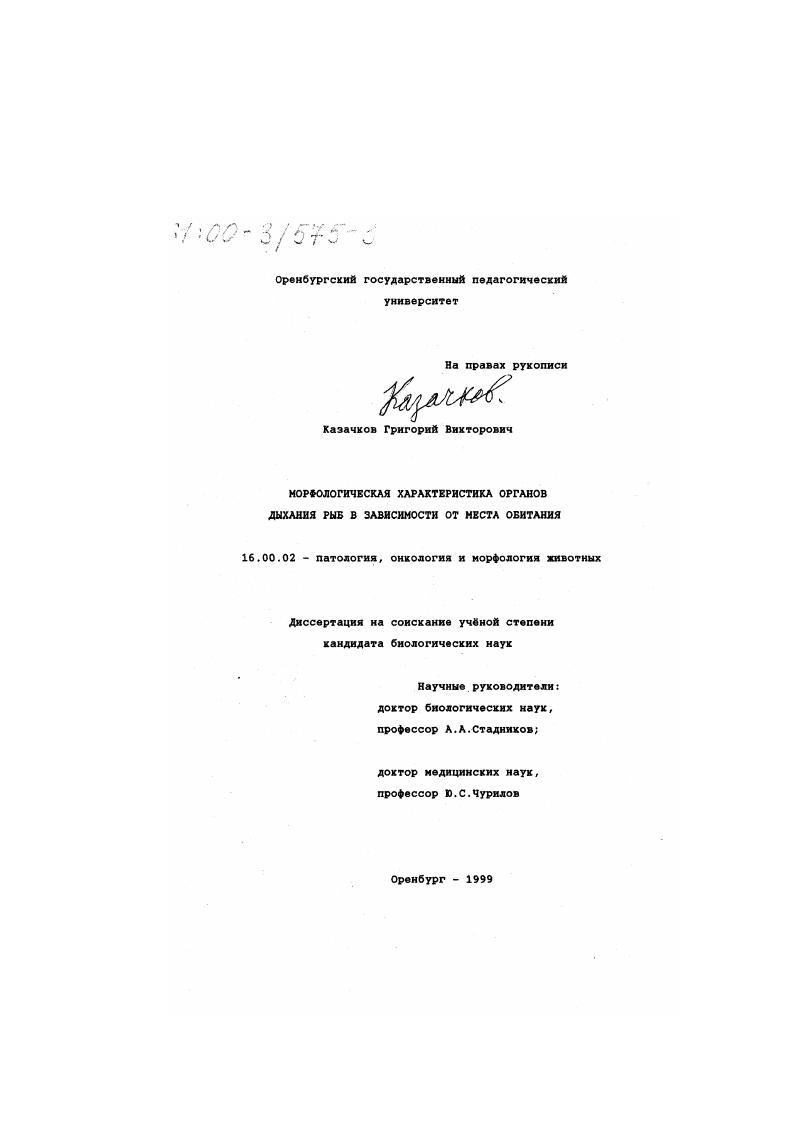 Морфологическая характеристика органов дыхания рыб в зависимости от места обитания