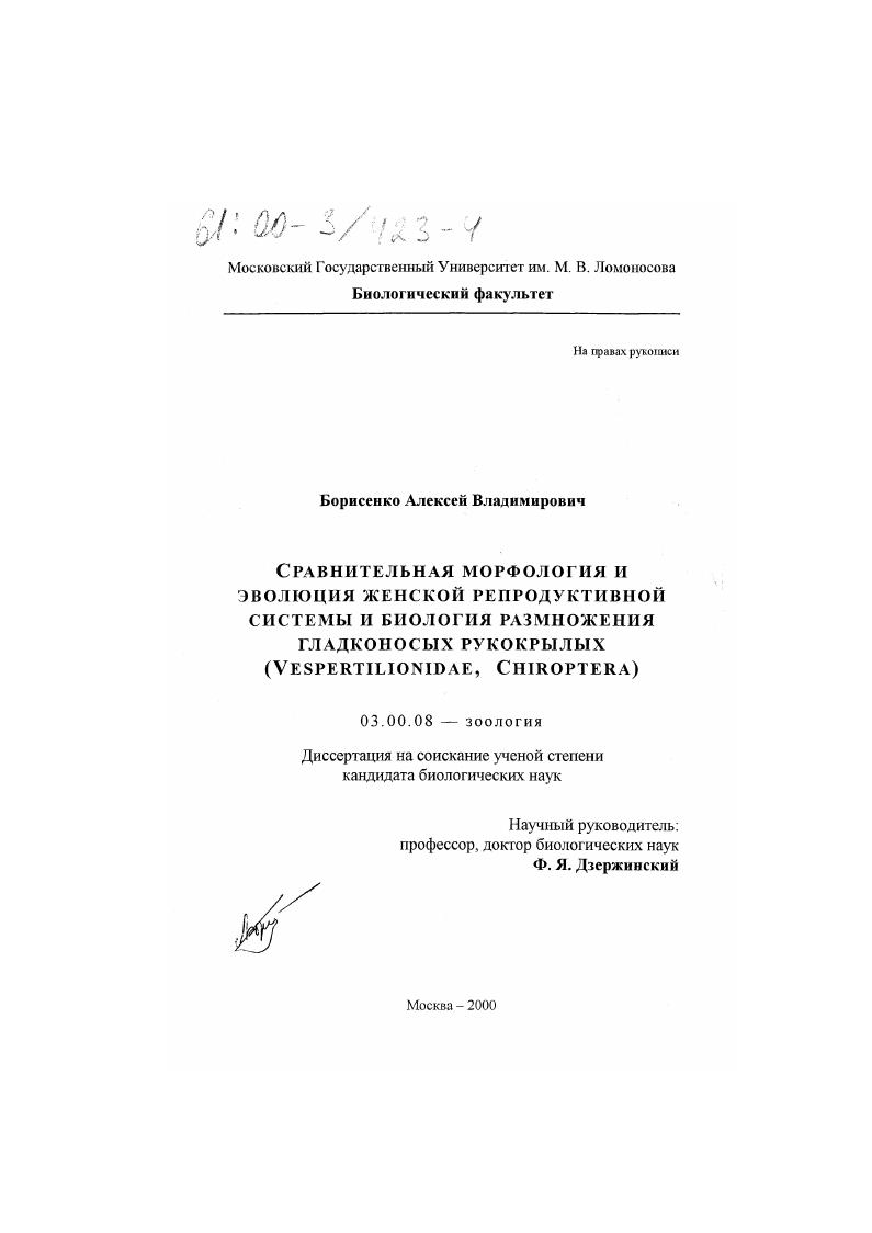 Сравнительная морфология и эволюция женской репродуктивной системы и биология размножения гладконосых рукокрылых (Vespertilionidae, Chiroptera)