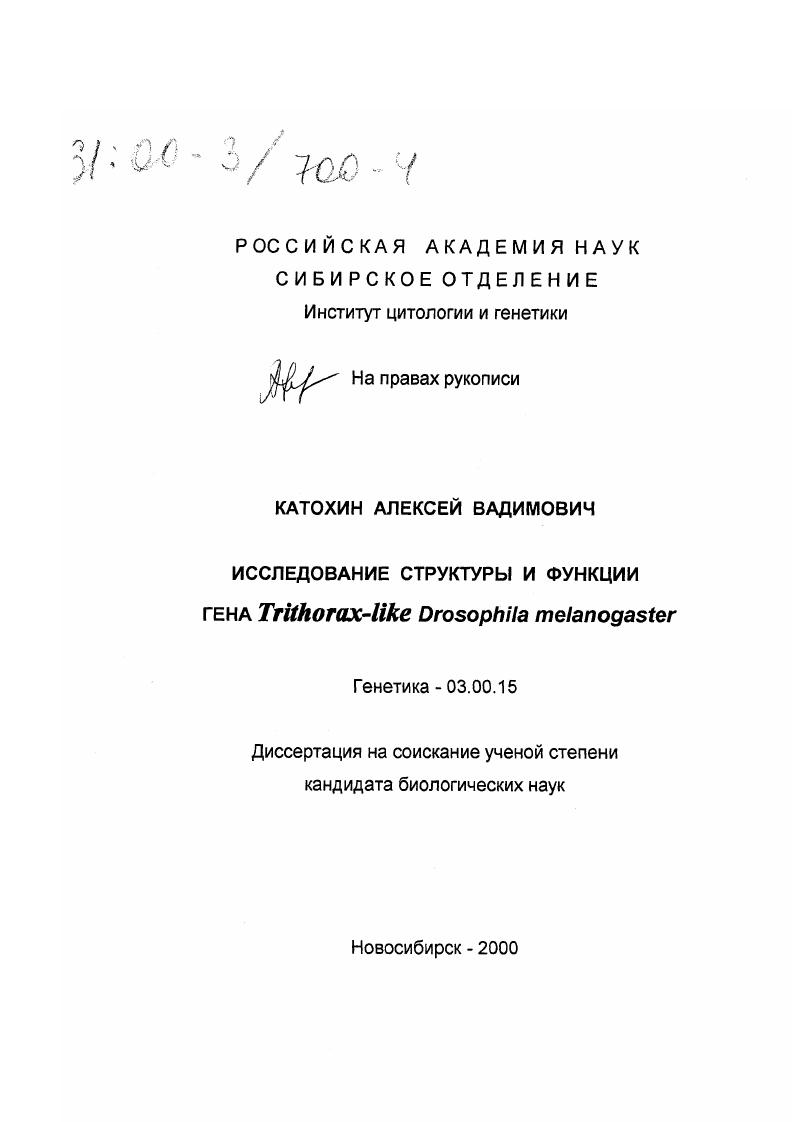 Исследование структуры и функции гена Trithorax-like Drosophila melanogaster