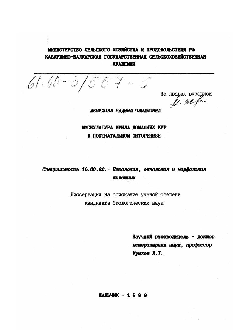 Мускулатура крыла домашних кур в постнатальном онтогенезе