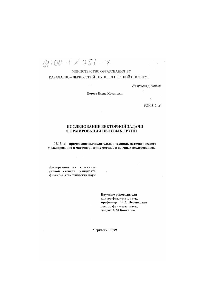 Исследование векторной задачи формирования целевых групп