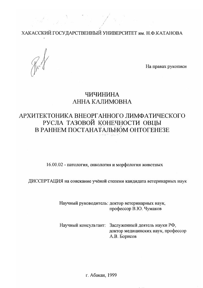 Архитектоника внеорганного лимфатического русла тазовой конечности овцы в раннем постнатальном онтогенезе