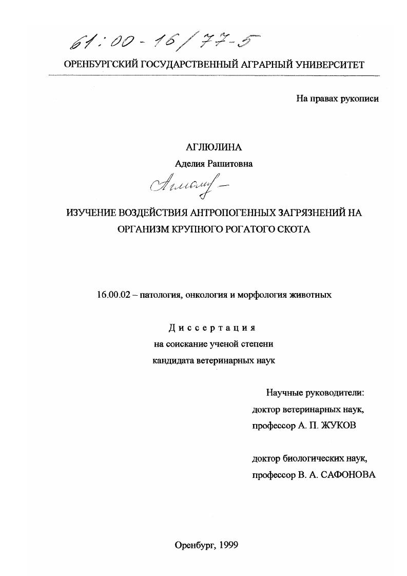 Изучение воздействия антропогенных загрязнений на организм крупного рогатого скота