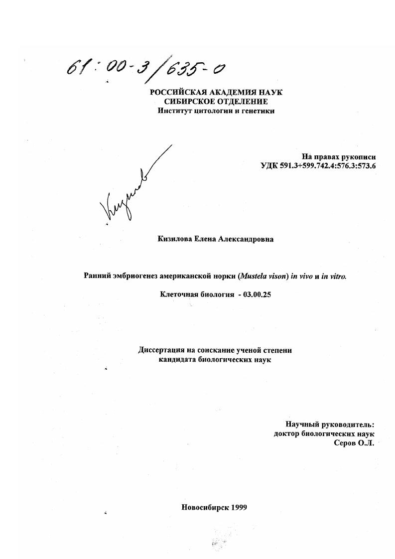 Ранний эмбриогенез американской норки (Mustela vison) in vivo и in vitro