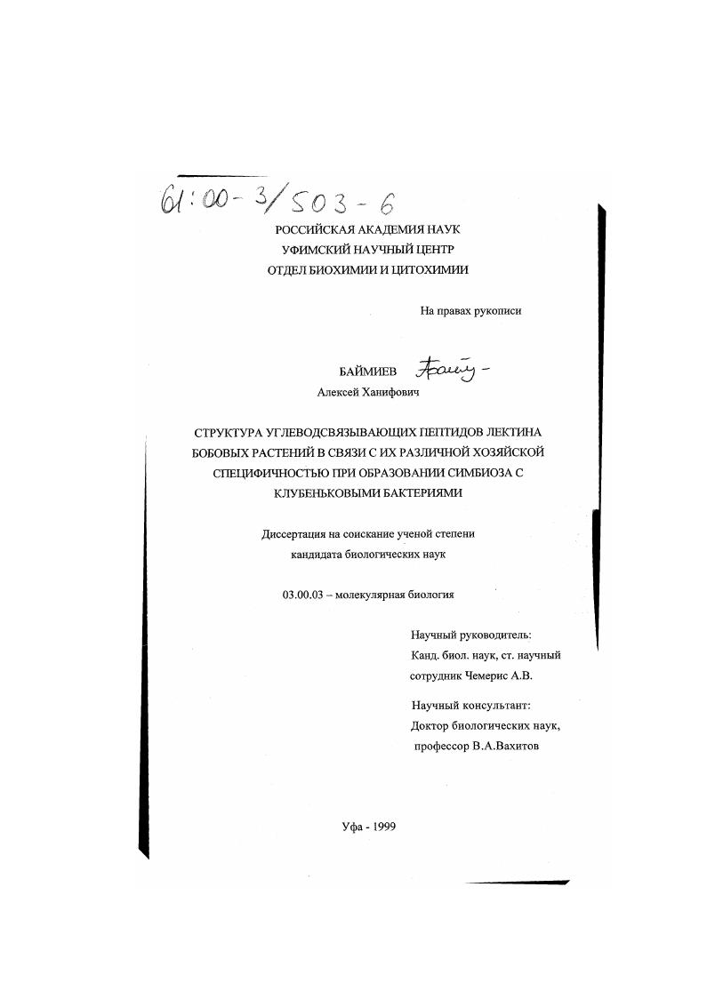скачать диссертацию Структура углеводсвязывающих пептидов лектина бобовых растений в связи с их различной хозяйской специфичностью при образовании симбиоза с клубеньковыми растениями Структура углеводсвязывающих пептидов лектина бобовых растений в связи с их различной хозяйской специфичностью при образовании симбиоза с клубеньковыми растениями