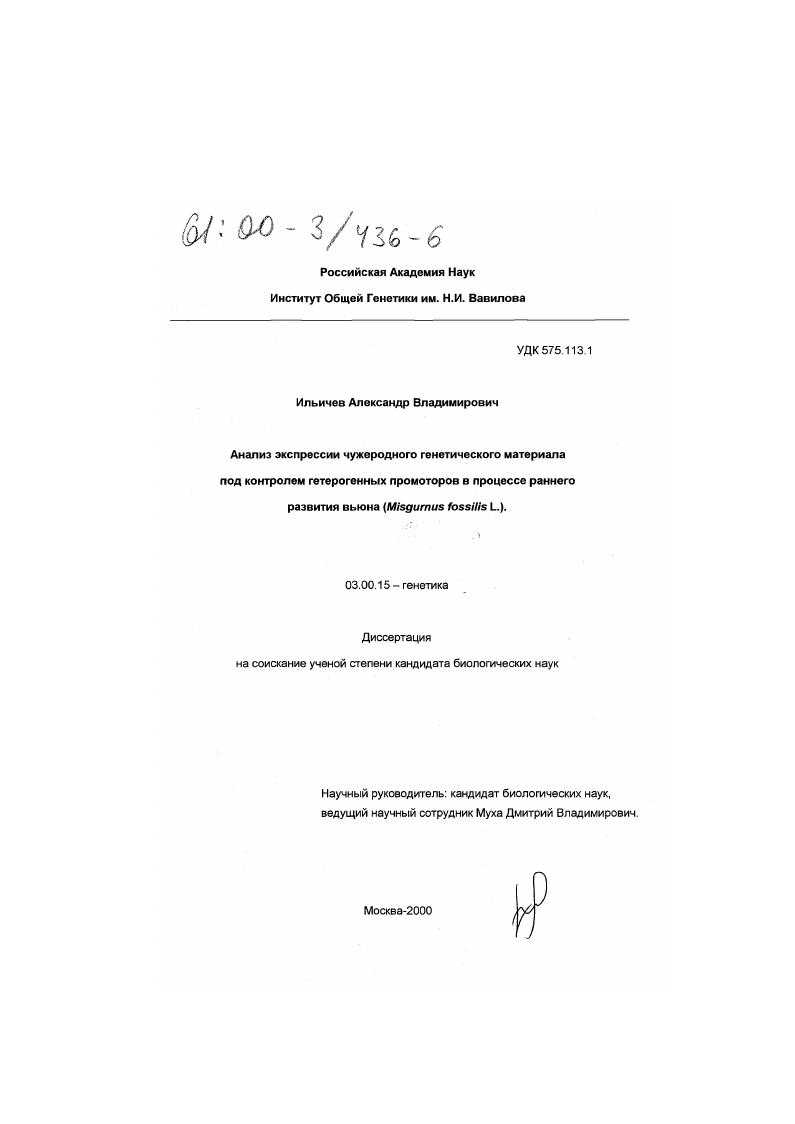 скачать диссертацию Анализ экспрессии чужеродного генетического материала под контролем гетерогенных промоторов в процессе раннего развития вьюна (Misgurnus fossilis L. ) Анализ экспрессии чужеродного генетического материала под контролем гетерогенных промоторов в процессе раннего развития вьюна (Misgurnus fossilis L. )