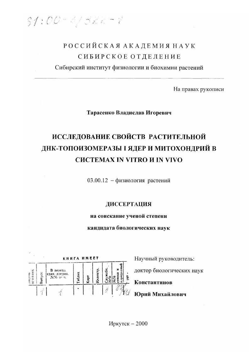 скачать диссертацию Исследование свойств растительной ДНК-топоизомеразы I ядер и митохондрий в системах in vitro и in vivo Исследование свойств растительной ДНК-топоизомеразы I ядер и митохондрий в системах in vitro и in vivo