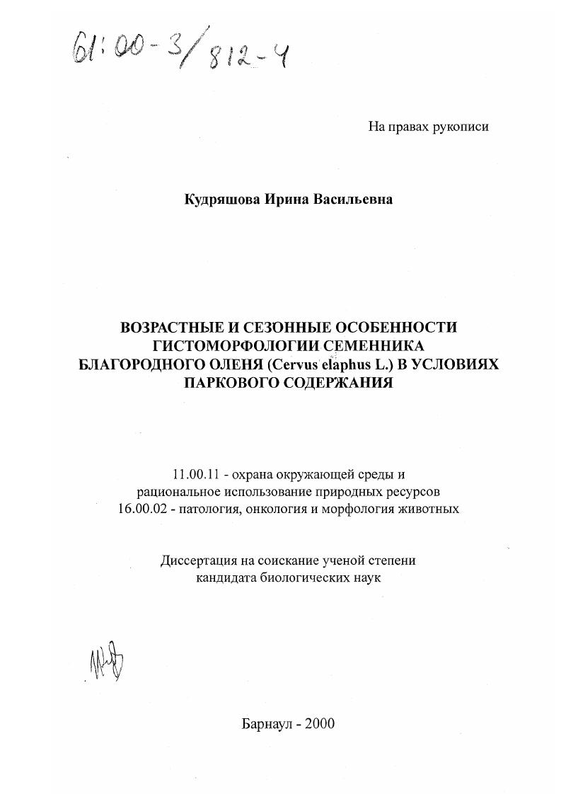 Возрастные и сезонные особенности гистоморфологии семенников благородного оленя (Cervus elaphus L. ) в условиях паркового содержания