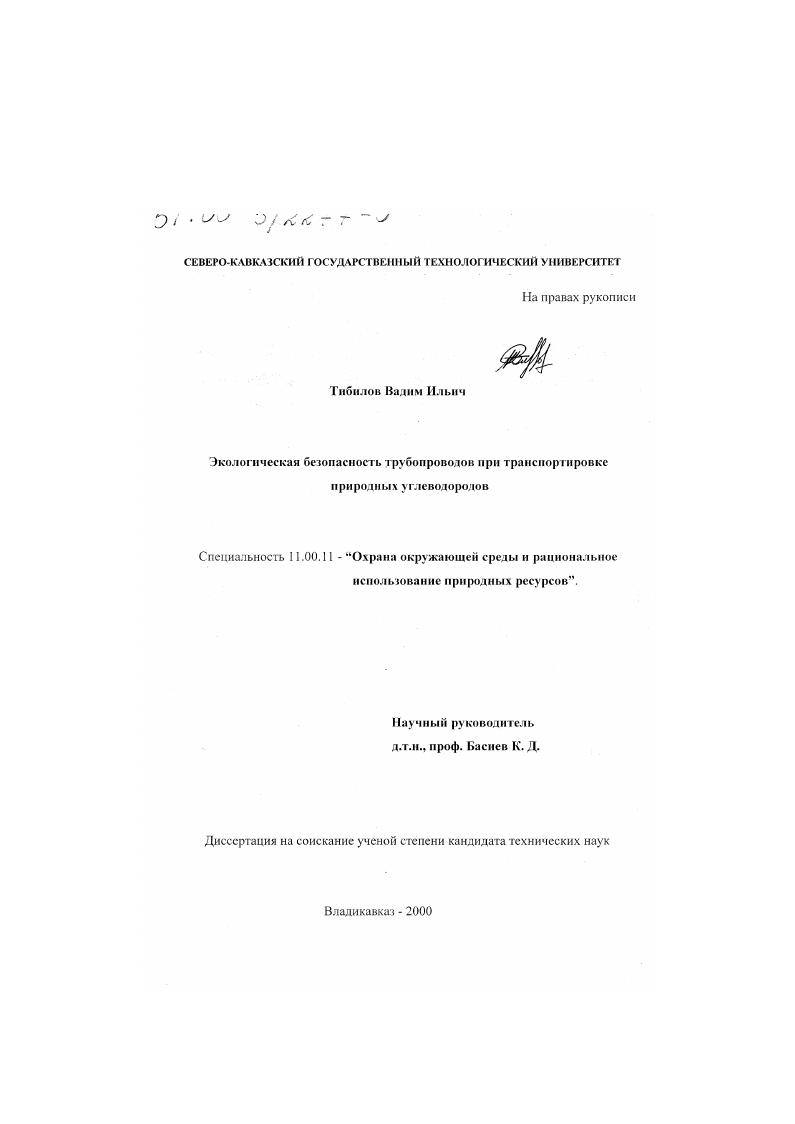 Экологическая безопасность трубопроводов при транспортировке природных углеводородов