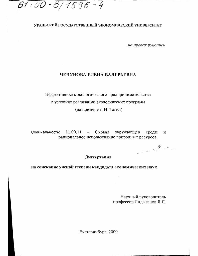 Эффективность экологического предпринимательства в условиях реализации экологических программ : На примере г. Н. Тагил