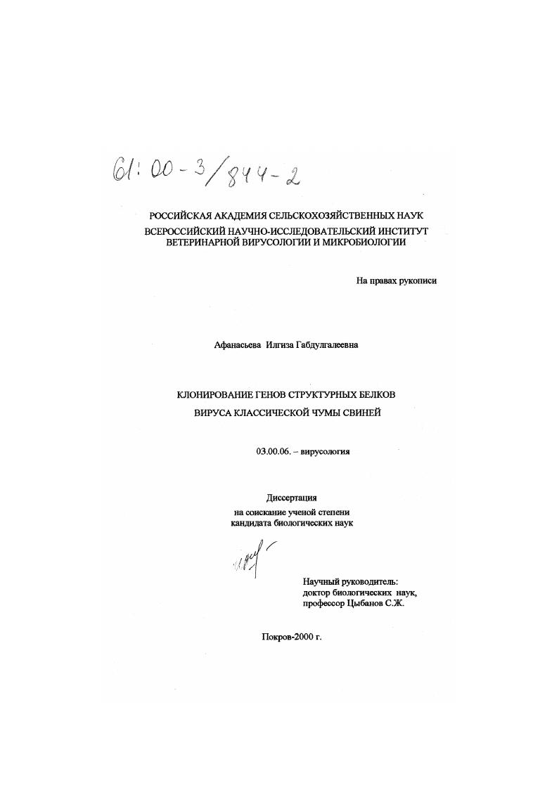 Клонирование генов структурных белков вируса классической чумы свиней