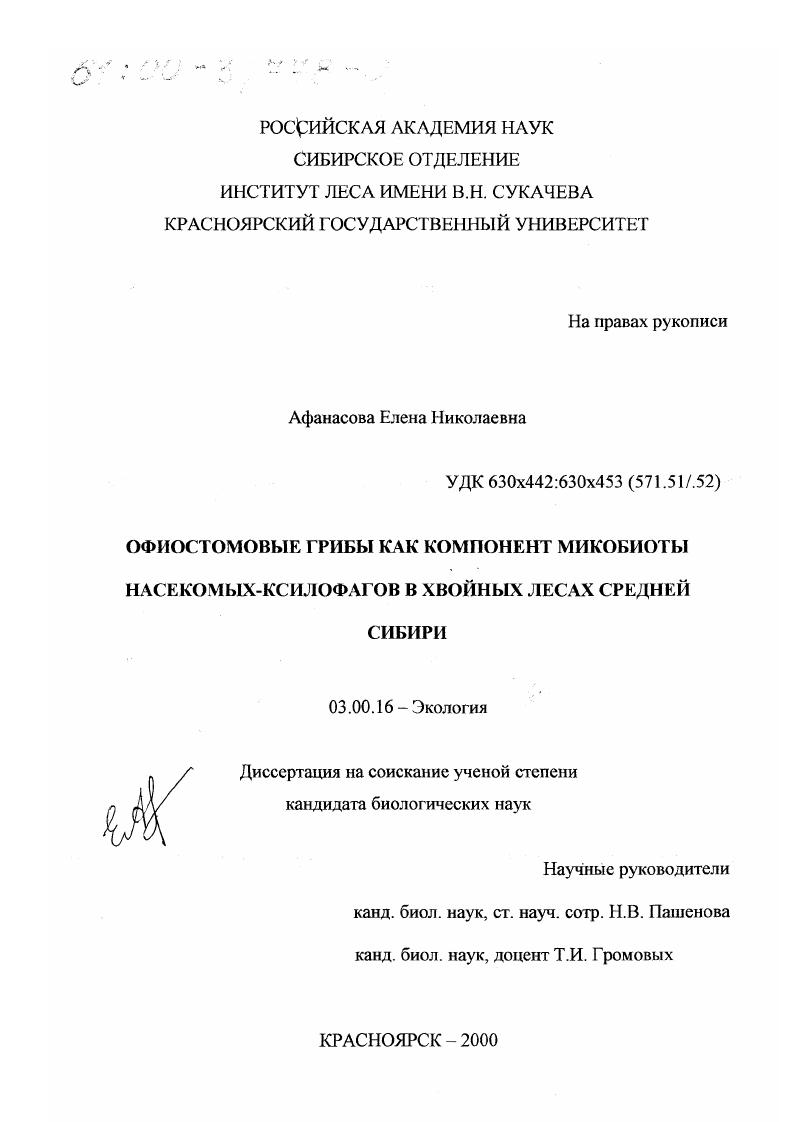 Офиостомовые грибы как компонент микобиоты насекомых-ксилофагов в хвойных лесах Средней Сибири