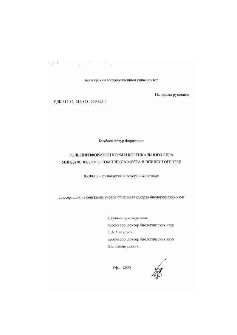 Роль пириформной коры и кортикального ядра миндалевидного комплекса мозга в эпилептогенезе