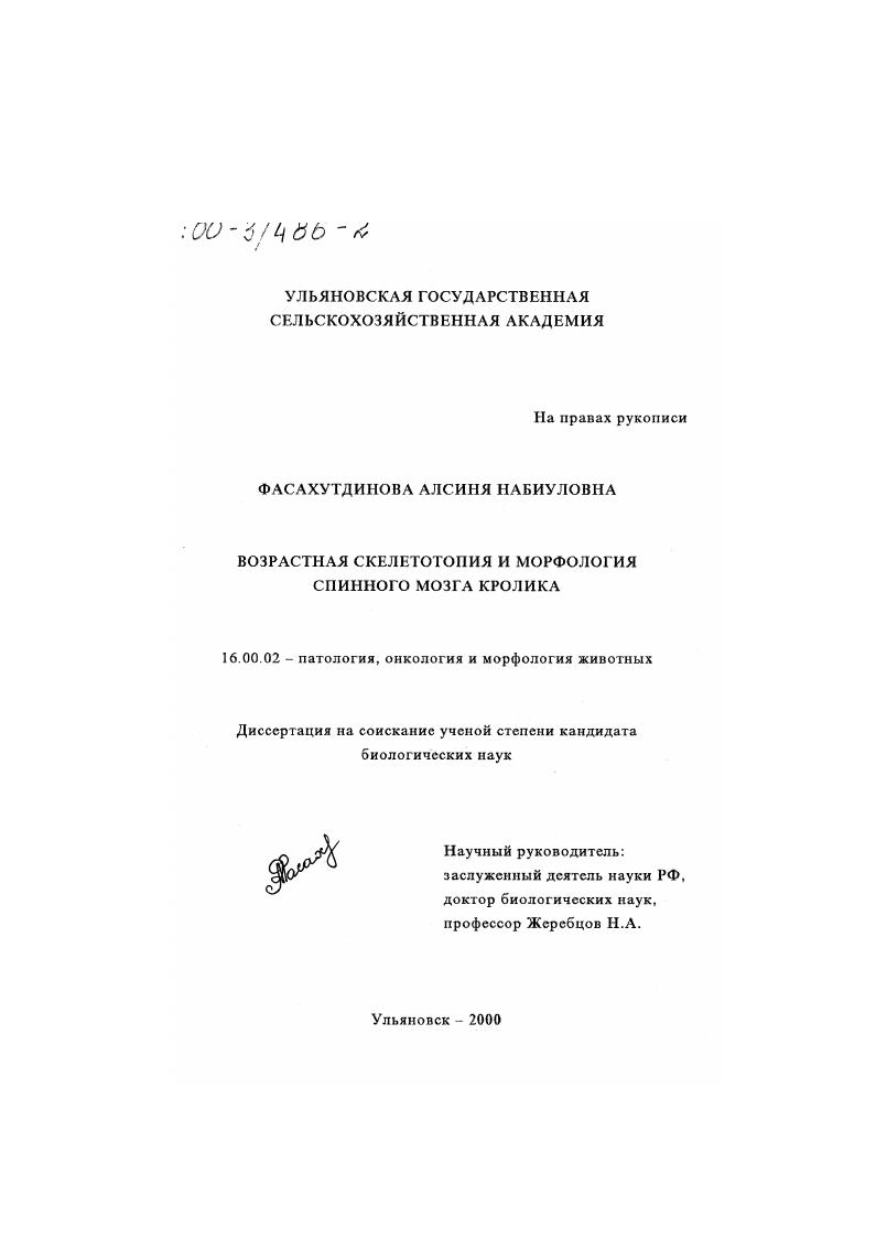 Возрастная скелетотопия и морфология спинного мозга кролика