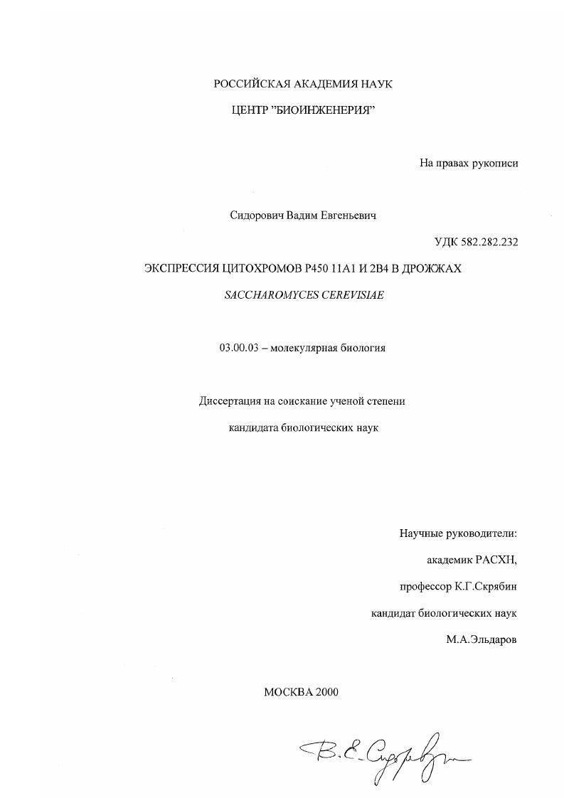 скачать диссертацию Экспрессия цитохромов Р45011А1 и 2В4 в дрожжах Saccharomyces cerevisiae Экспрессия цитохромов Р45011А1 и 2В4 в дрожжах Saccharomyces cerevisiae