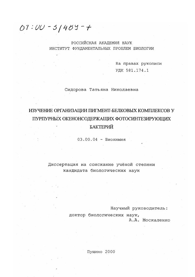 Изучение организации пигмент-белковых комплексов у пурпурных окенонсодержащих фотосинтезирующих бактерий