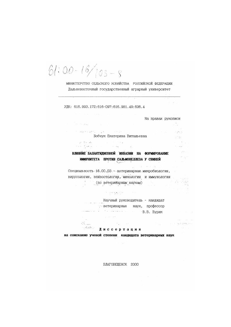Влияние балантидиозной инвазии на формирование иммунитета против сальмонеллеза у свиней