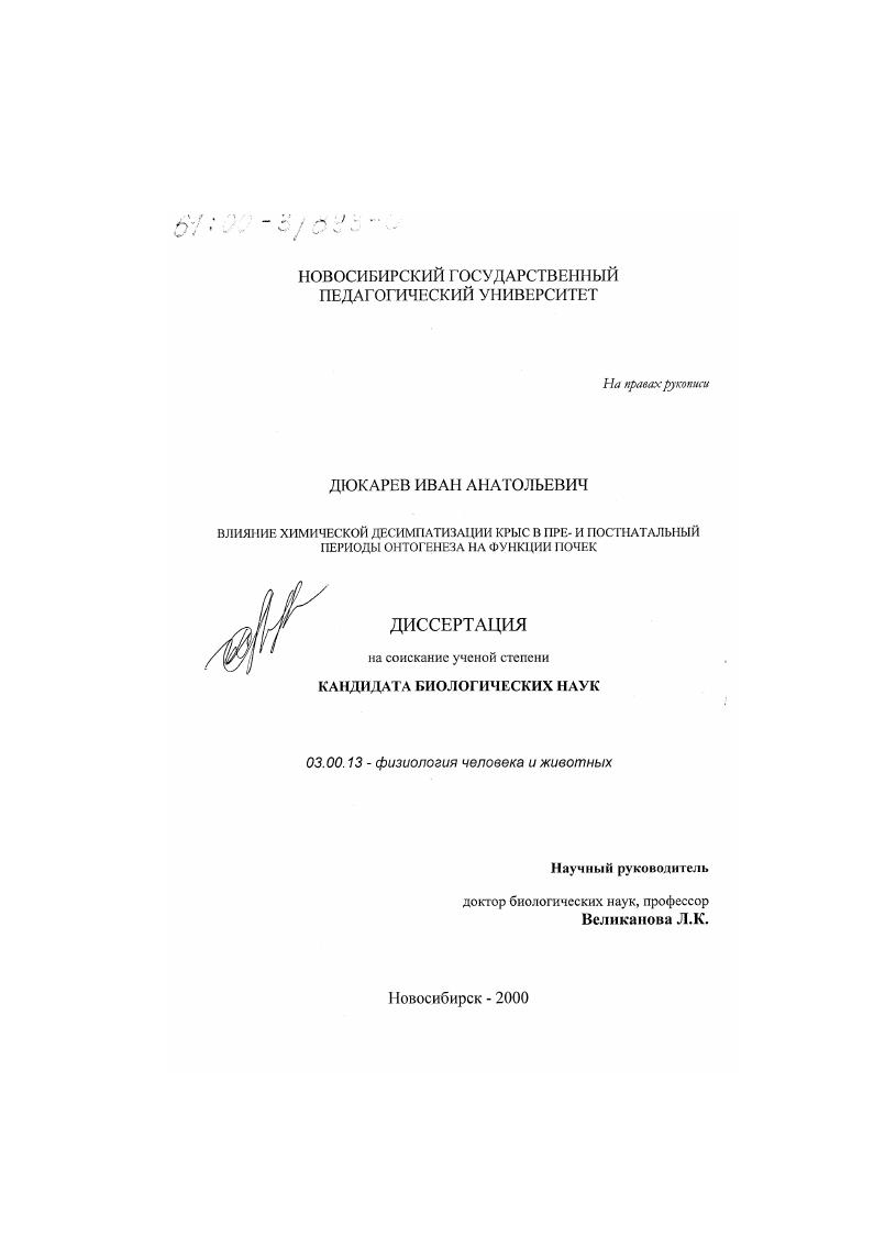 скачать диссертацию Влияние химической десимпатизации крыс в пре- и постнатальный периоды онтогенеза на функции почек Влияние химической десимпатизации крыс в пре- и постнатальный периоды онтогенеза на функции почек