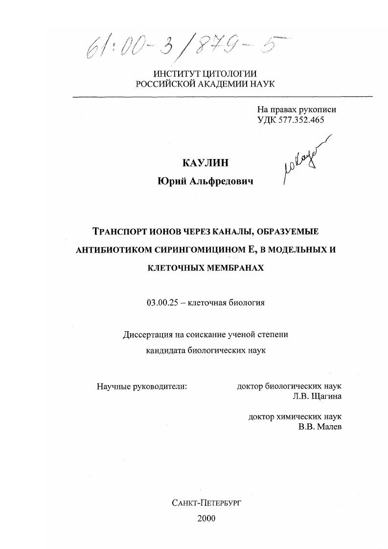 Транспорт ионов через каналы, образуемые антибиотиком сирингомицином Е, в модельных и клеточных мембранах